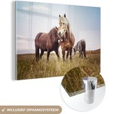 MuchoWow® Glasschilderij 60x40 cm - Schilderij acrylglas - Paarden - Gras - Lente - Foto op glas - Schilderijen