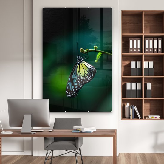 MuchoWow® Peinture sur verre 120x180 cm - Peinture acrylique sur verre - Papillon sur une branche fine - Photo sur verre - Peintures
