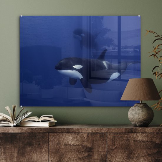 Peinture sur verre - Deux orques dans l'eau claire - 80x60 cm - Peintures acryliques - Photo sur Glas