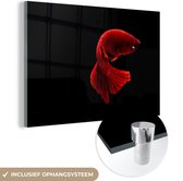 MuchoWow® Glasschilderij 120x80 cm - Schilderij acrylglas - Vis - Rood - Zwart - Foto op glas - Schilderijen