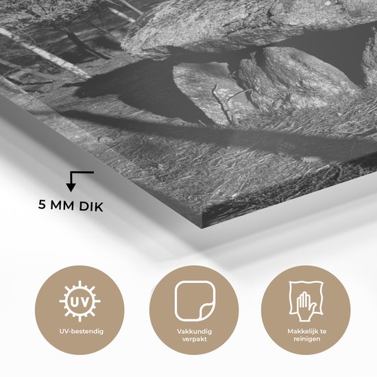 MuchoWow® Peinture sur verre 120x90 cm - Peinture acrylique sur verre - Un dolmen à La Corogne - noir et blanc - Photo sur verre - Peintures