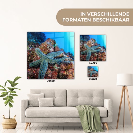 MuchoWow® Peinture sur verre 20x20 cm - Peinture sur verre acrylique - Étoile de mer - Corail - Animaux - Photo sur verre - Peintures