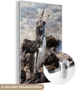 MuchoWow® Glasschilderij 80x120 cm - Schilderij acrylglas - Een kwekkende galapagospinguïn bij de zee - Foto op glas - Schilderijen