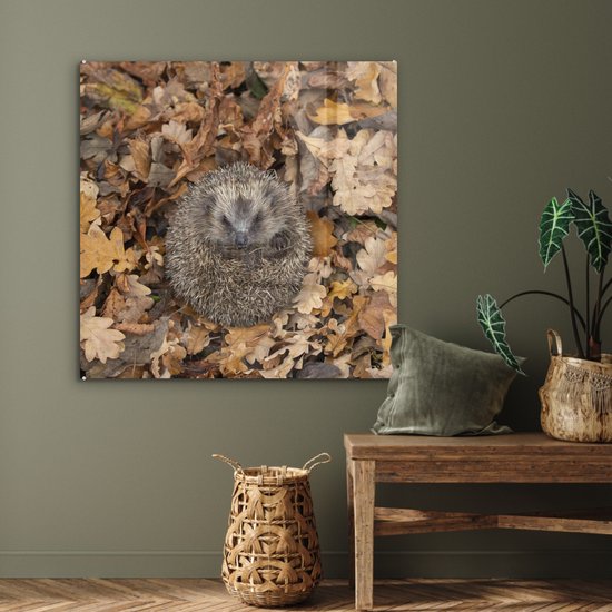 Peinture sur Verre - Hérisson - Automne - Feuilles - 90x90 cm - Peintures sur Verre Acrylique - Photo sur Glas