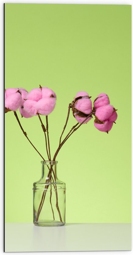 Dibond - Roze Katoenbollen aan Takken in Vaas tegen Groene Achtergrond - 50x100 cm Foto op Aluminium (Met Ophangsysteem)