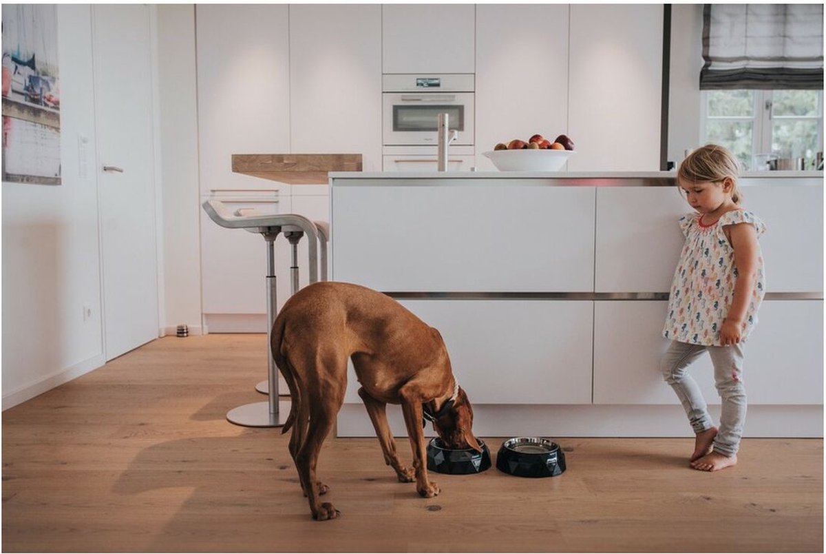 Voerbak voor honden Hunter Kimberley Melamine Roestvrij staal Wit Driehoekig (17,5 x 17,5 x 4,5 cm)