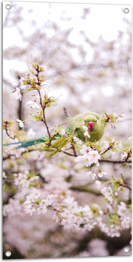 Tuinposter – Groene Vogel tussen de Roze Bloesem - 50x100 cm Foto op Tuinposter (wanddecoratie voor buiten en binnen)