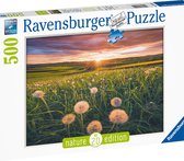 Ravensburger puzzel Paardenbloemen bij Zonsondergang - Legpuzzel - 500 stukjes