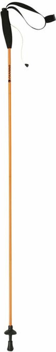 Trekking Stick Ferrino Eiger 125 cm