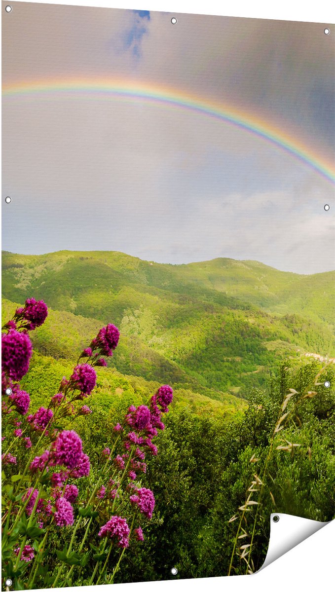 Gards Tuinposter Regenboog in de Heuvel Bossen - 100x150 cm - Tuindoek - Tuindecoratie - Wanddecoratie buiten - Tuinschilderij Multikleur
