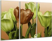 GroepArt - Schilderij -  Tulp - Groen, Bruin, Wit - 120x80cm 3Luik - 6000+ Schilderijen 0p Canvas Art Collectie