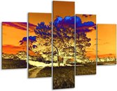Glasschilderij -  Natuur - Oranje, Blauw, Geel - 100x70cm 5Luik - Geen Acrylglas Schilderij - GroepArt 6000+ Glasschilderijen Collectie - Wanddecoratie- Foto Op Glas