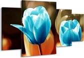 GroepArt - Schilderij -  Tulp - Blauw, Oranje, Bruin - 160x90cm 4Luik - Schilderij Op Canvas - Foto Op Canvas