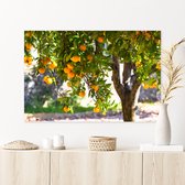 Plexiglas Schilderij Sinaasappelboom