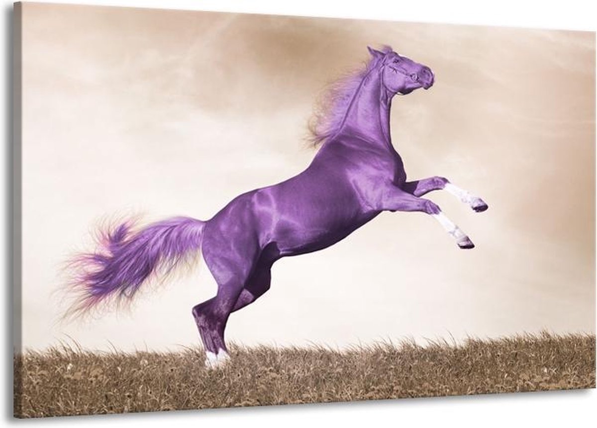 vertrekken domein Acht Canvas schilderij Paard | Paars, Sepia | 140x90cm 1Luik | bol.com