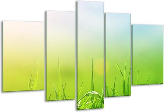 Glasschilderij Natuur, Gras - Groen, Geel - 170x100cm 5Luik - Foto Op Glas - Geen Acrylglas Schilderij - 6000+ Glasschilderijen Collectie - Wanddecoratie