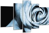 Glasschilderij Roos, Bloem - Blauw, Grijs, Zwart - 170x100cm 5Luik - Foto Op Glas - Geen Acrylglas Schilderij - 6000+ Glasschilderijen Collectie - Wanddecoratie