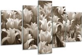 Glasschilderij Tulpen, Bloemen - Sepia - 170x100cm 5Luik - Foto Op Glas - Geen Acrylglas Schilderij - 6000+ Glasschilderijen Collectie - Wanddecoratie