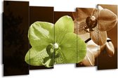 GroepArt - Canvas Schilderij - Orchidee - Groen, Bruin, Wit - 150x80cm 5Luik- Groot Collectie Schilderijen Op Canvas En Wanddecoraties