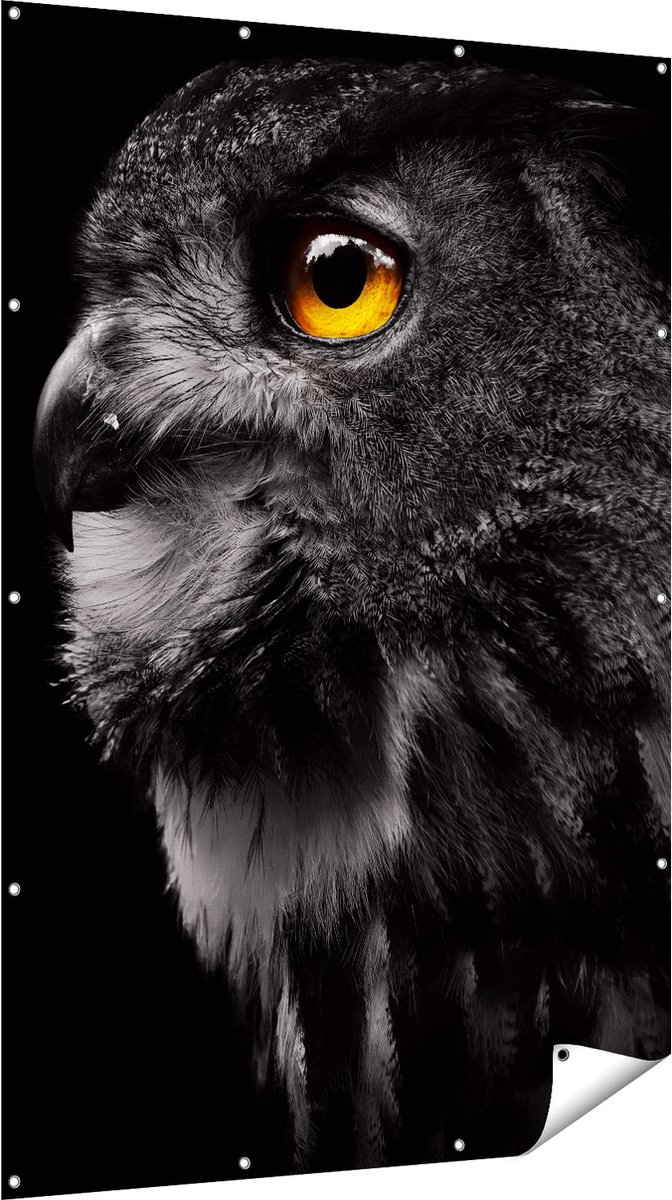Gards Tuinposter Zwarte Uil met Gouden Ogen - 120x180 cm - Tuindoek - Tuindecoratie - Wanddecoratie buiten - Tuinschilderij Multikleur