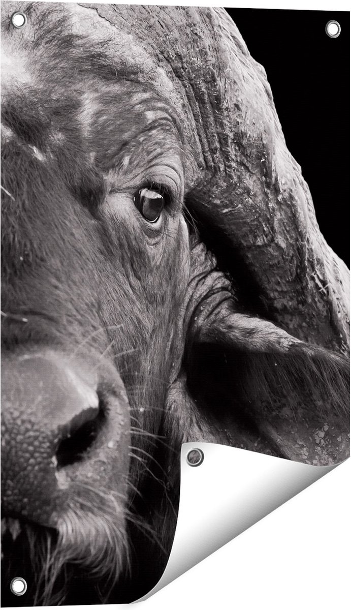 Gards Tuinposter Buffel - Buffelkop - Zwart Wit - 40x60 cm - Tuindoek - Tuindecoratie - Wanddecoratie buiten - Tuinschilderij Multikleur