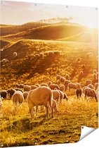 Gards Tuinposter Schapen in de Heuvels bij Zonsondergang - 120x150 cm - Tuindoek - Tuindecoratie - Wanddecoratie buiten - Tuinschilderij