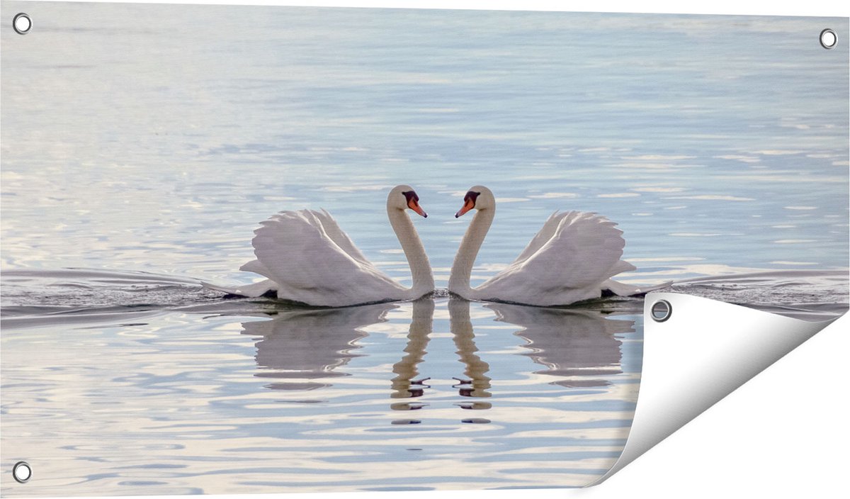 Gards Tuinposter Zwanen Koppel op het Water - 80x40 cm - Tuindoek - Tuindecoratie - Wanddecoratie buiten - Tuinschilderij Multikleur