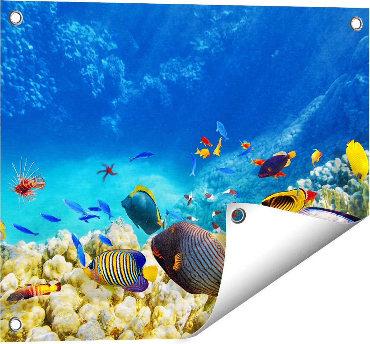 Gards Tuinposter Vissen in de Oceaan met Koralen - 50x40 cm - Tuindoek - Tuindecoratie - Wanddecoratie buiten - Tuinschilderij Multikleur