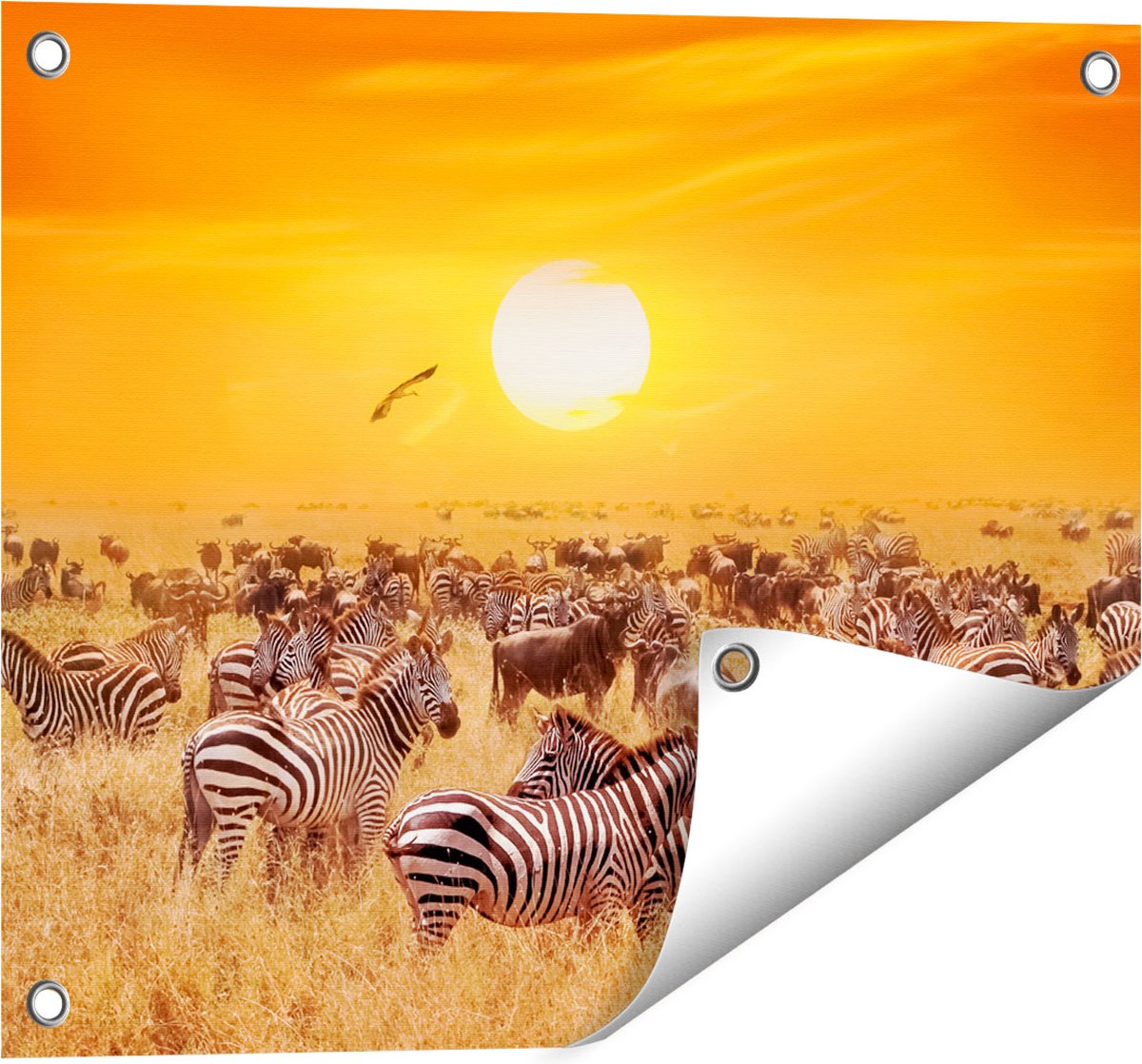Gards Tuinposter Kudde Zebra's bij een Oranje Zonsondergang - 50x40 cm - Tuindoek - Tuindecoratie - Wanddecoratie buiten - Tuinschilderij Multikleur