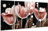Peinture sur verre tulipe | Marron noir | 160x80cm 4 Liège | Tirage photo sur verre |  F005066