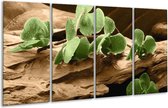 Peinture sur verre d'orchidée | Vert, marron | 160x80cm 4 Liège | Tirage photo sur verre |  F004505