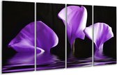 GroepArt - Glasschilderij - Bloem - Paars, Zwart - 160x80cm 4Luik - Foto Op Glas - Geen Acrylglas Schilderij - 6000+ Glasschilderijen Collectie - Wanddecoratie