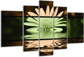 Glasschilderij Bloem - Groen, Bruin, Zwart - 170x100cm 5Luik - Foto Op Glas - Geen Acrylglas Schilderij - 6000+ Glasschilderijen Collectie - Wanddecoratie