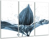 Glasschilderij Bloem - Blauw, Wit - 120x80cm 3Luik - Foto Op Glas - Geen Acrylglas Schilderij - GroepArt 6000+ Glas Art Collectie - Maatwerk Mogelijk