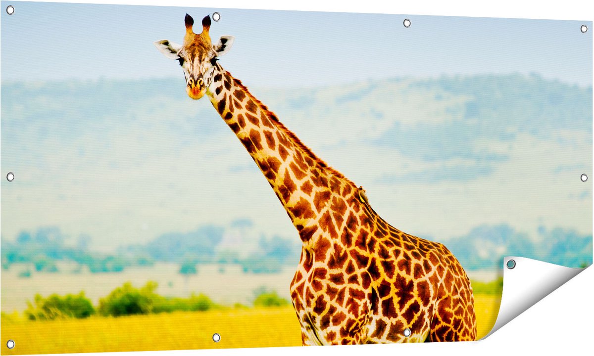 Gards Tuinposter Giraffe in het Veld - 140x70 cm - Tuindoek - Tuindecoratie - Wanddecoratie buiten - Tuinschilderij Multikleur