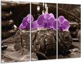 Glasschilderij Orchidee - Paars, Grijs - 120x80cm 3Luik - Foto Op Glas - Geen Acrylglas Schilderij - GroepArt 6000+ Glas Art Collectie - Maatwerk Mogelijk