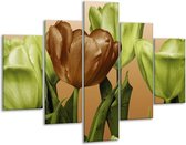 Glasschilderij -  Tulp - Groen, Bruin, Wit - 100x70cm 5Luik - Geen Acrylglas Schilderij - GroepArt 6000+ Glasschilderijen Collectie - Wanddecoratie- Foto Op Glas