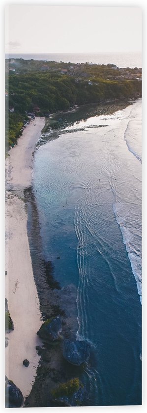 Acrylglas - Bovenaanzicht Strand bij de Bossen - 20x60 cm Foto op Acrylglas (Wanddecoratie op Acrylaat)