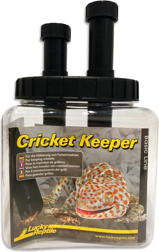 Lucky Reptile Cricket Keeper bol