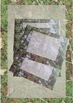 Briefpapier - Set Dennenappeltjes - 12 vellen en 6 enveloppen - A4 formaat - Postpapier Natuur