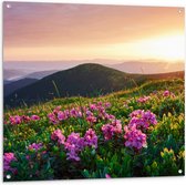 Tuinposter – Roze Bloemen op de Bergen van Landschap tijdens Zonsopkomst - 100x100 cm Foto op Tuinposter (wanddecoratie voor buiten en binnen)