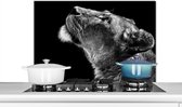 Spatscherm keuken 90x60 cm - Kookplaat achterwand Leeuw - Dieren - Zwart wit - Muurbeschermer - Spatwand fornuis - Hoogwaardig aluminium