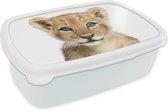 Broodtrommel Wit - Lunchbox - Brooddoos - Leeuw - Dieren - Natuur - Wit - 18x12x6 cm - Volwassenen