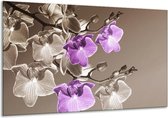 Peinture sur toile Orchidée | Marron, violet | 120x70cm 1Hatch
