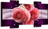 GroepArt - Schilderij - Roos - Paars, Roze - 120x65 5Luik - Foto Op Canvas - GroepArt 6000+ Schilderijen 0p Canvas Art Collectie - Wanddecoratie