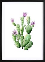 Cactus Flowers (70x100cm) - Wallified - Tropisch - Poster - Print - Wall-Art - Woondecoratie - Kunst - Posters