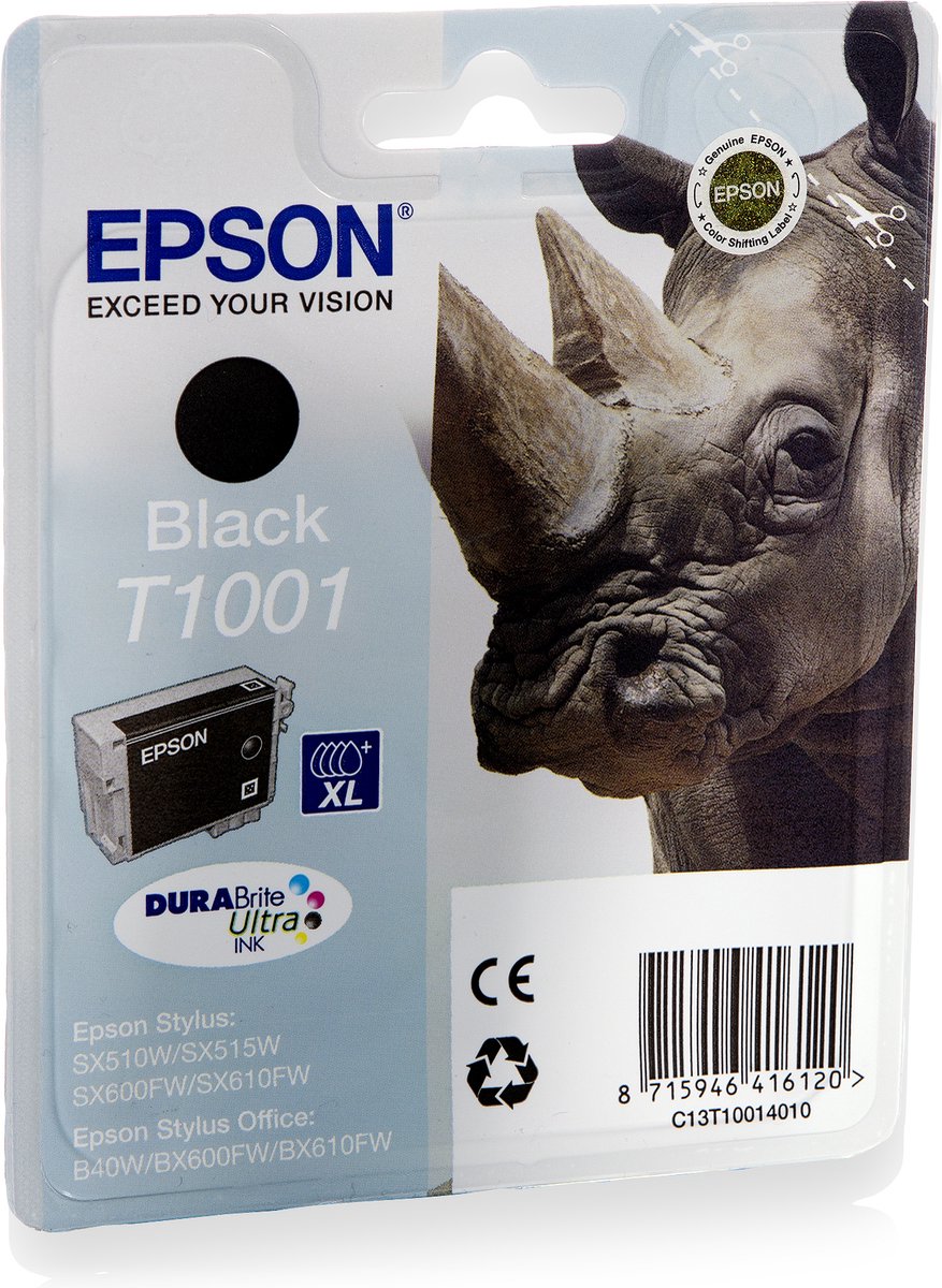 Epson T1001 - Inktcartridge / Zwart