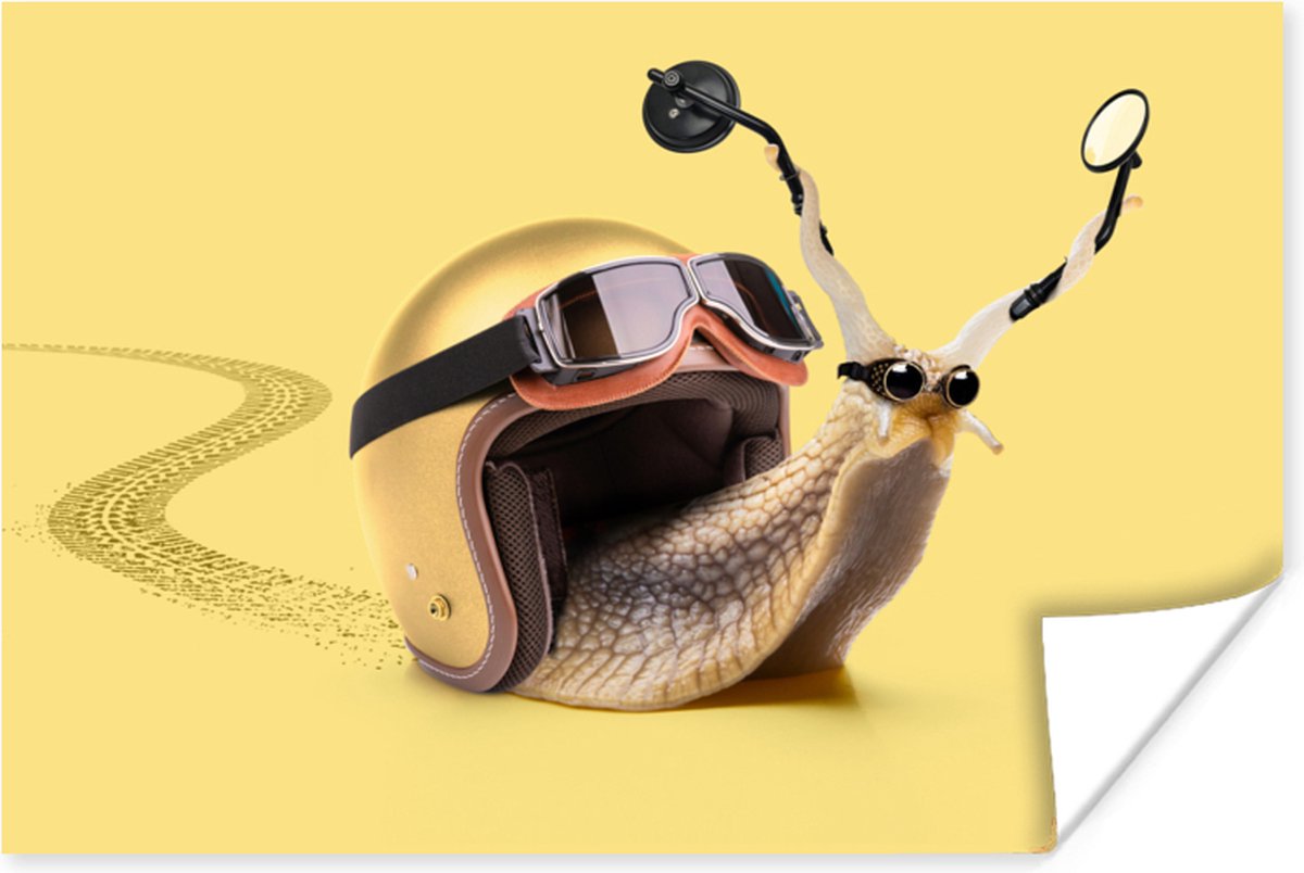 Poster Slak - Dieren - Helm - Geel - Spiegels - 30x20 cm
