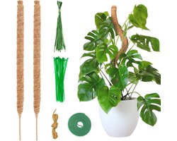 Mosstok - Plantenstok - Mosstok voor planten - Mosstok kamerplant - Mosstok verlengbaar - Mosstok buigzaam - Plantensteun - Inclusief tuingereedschap - 2 x 64 cm - Extra lang - Bruin