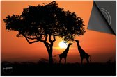 Inductie beschermer 60x60 - afdekplaat inductie mat - Dietrix Kookplaat beschermer - Base - Dieren - Giraffes zonsondergang Afrika
